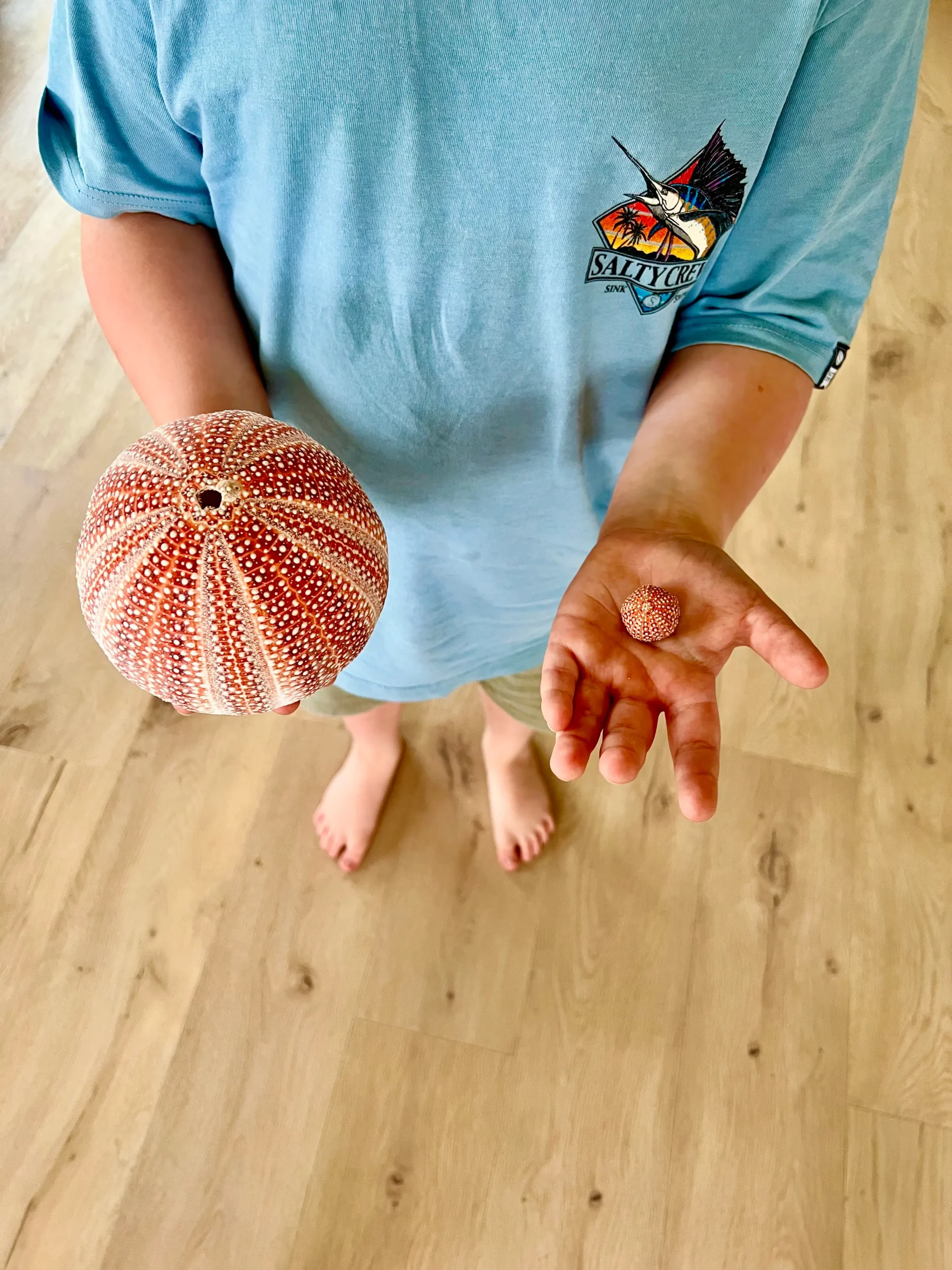 Jack's Salty Urchin - Image 2